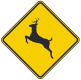 Deer crossing area